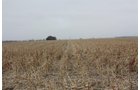 Property photo 30 - Kansas Land Auction - 960 Acres - 7 Farms in 3 Counties